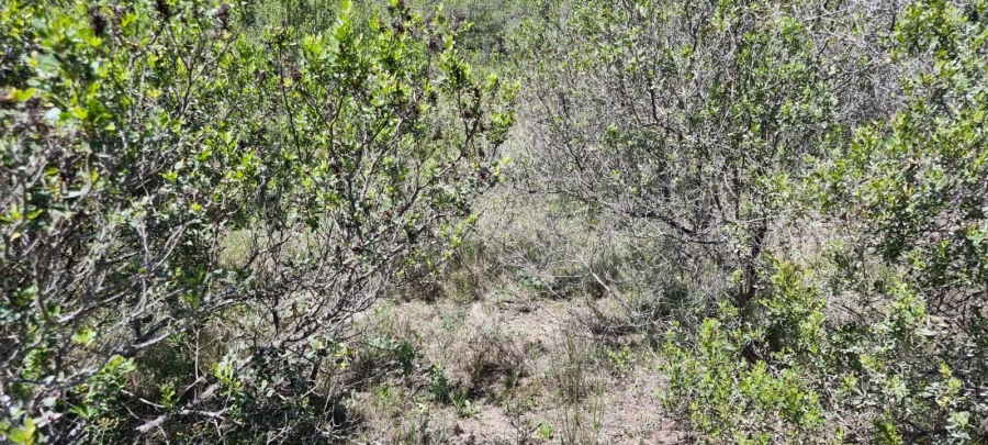  Bedroom Property for Sale in Knysna Rural Western Cape